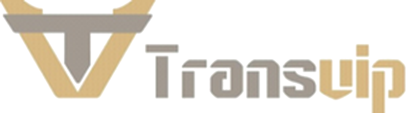 Transvip